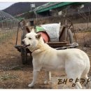 호선농장 이미지