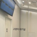 송도종합동물병원 이미지