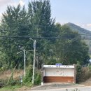 옥천파크 | (옥천여행) 고양이 못잃어