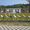 신세대세탁소 이미지