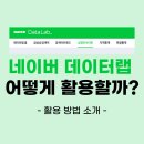 오늘 네이버 실검 서비스 종료 → '데이터 랩' 활용 방법 소개🤓