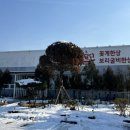 군산박대왕 | 군산 게장 맛집 군산 보리굴비 맛집 참답다꽃게한상보리굴비한상 솔직 방문 후기