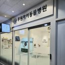 루원하이동물병원 | 루원하이동물병원을 소개합니다.