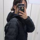 다함테크 | 유니클로 퍼프테크파카 사이즈추천 착용후기 가성비 최고