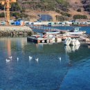 달빛한옥경로당 이미지