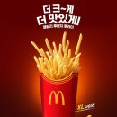 한국맥도날드, '패밀리 후렌치후라이' 4000원에 한정판매 이미지