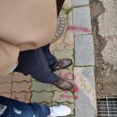 장수부침개 이미지