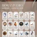 로라필라테스 - 천안시 서북구 월봉로 79 | 로라필라테스