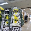 대국화원 이미지
