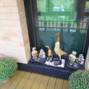 초록별숲유치원 이미지