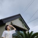 제주독채펜션돌집감성숙소돌담점 이미지