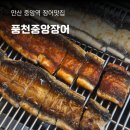 풍천중앙장어 고잔동 안산 중앙역 맛집 장어모듬구이 장어탕 추천