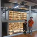 GR(부여군)-[왕릉로]-상-1 | 공주1박2일 여행기 (아이들과 가 볼만한 백제역사탐방 추천 국립공주박물관, 충청권역 수장고, 공산성...