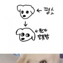 연세제일정형외과의원 이미지