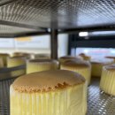 더불어참 이미지