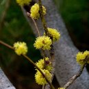 서산농장 이미지