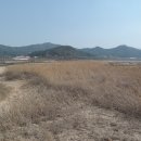 한반도섬 이미지