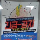 네일빈트