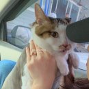 활수산 이미지