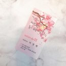 살롱드봄봄 이미지