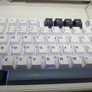 F87 | 기계식 키보드 추천 독거미 키보드 F87 1년 사용후기!