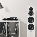 다인채널 이미지