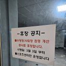 증평국민체육센터 증평실내수영장 25M 8레인 자유 수영 후기