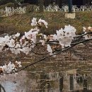 국원고등학교 이미지