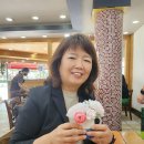 소소국수