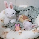 더멍멍 충주점 이미지