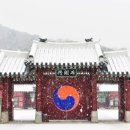 수원-1911 이미지