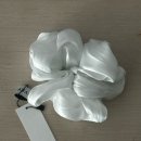 샵피크