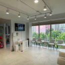 24시청담우리동물병원 이미지