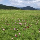 아난티클럽서울(주) | 가평 아난티 서울CC 코드클럽 더레스토랑 점심뷔페