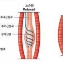 고유 피트니스 이미지
