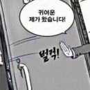움움