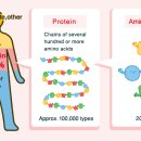 오현숙내과의원 이미지