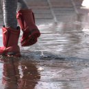 세나세탁소 이미지