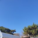 평화 | 강화도 당일치기 여행 북한이보이는곳 평화전망대 재방문후기