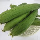 화천식품