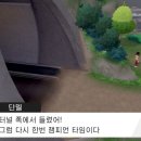 진상체육관 이미지