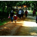 계족산황톳길 이미지