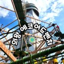 의왕 에코어드벤처 왕송호수공원 레일바이크 캠핑장 아이랑 가볼만한곳 (할인팁,주차요금,예약)