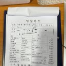 주문진글램핑오토캠핑장 이미지