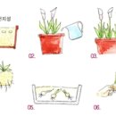 성은비료 이미지