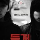 펌) 들개 GV 질의응답 이미지