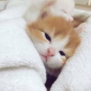 (주)알지힐링 이미지