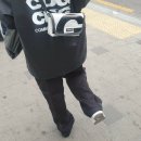 스테이하시니