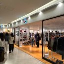 오사카 여행 추천 | 우메다 B Shop 비샵 단톤 구매후기(우메다 단톤 ·우메다 쇼핑·오사카 쇼핑템...