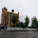 우산쓴고양이 이미지